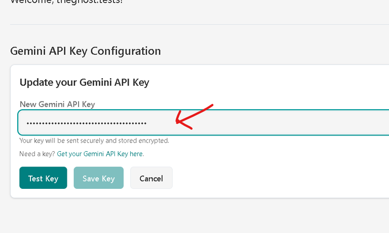 7 - paste new apikey - profile - aegisPad.png