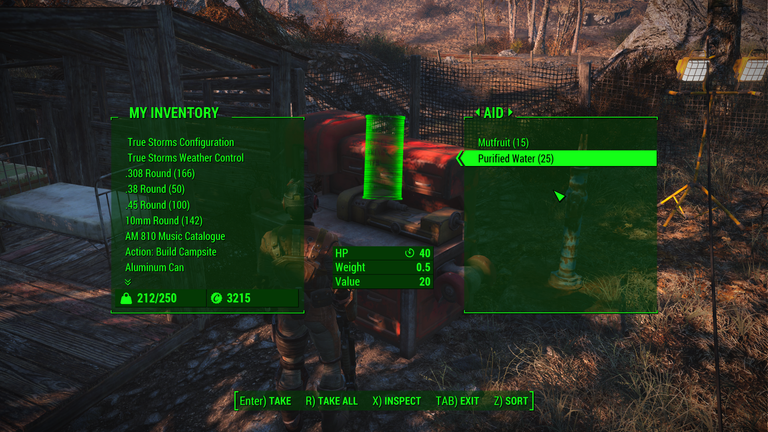 Fallout 4 Screenshot 2024.08.20 - 17.27.24.98.png