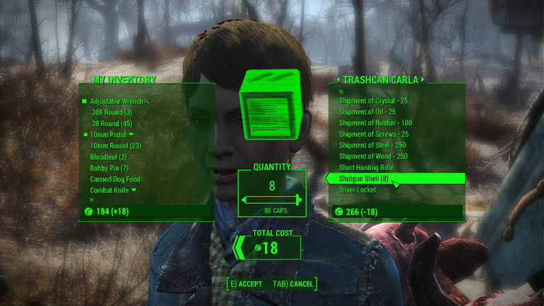 Fallout 4 Screenshot 2024.01.17 - 16.33.29.43.png