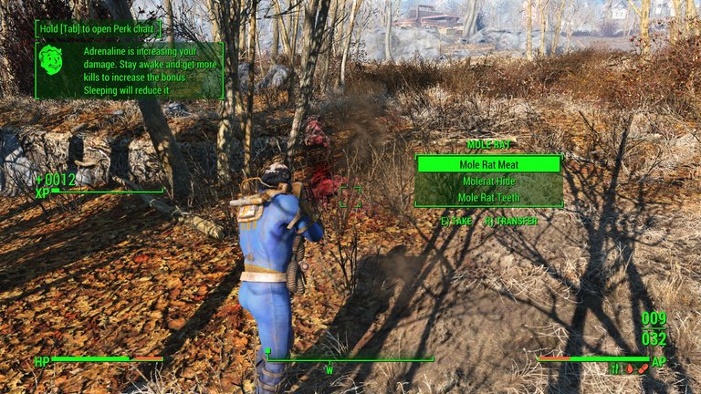 Fallout 4 Screenshot 2024.01.17 - 16.55.33.04.png