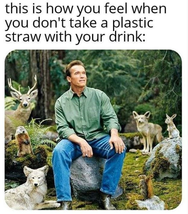 Eighteen Climate Change Memes Chock-Full Of Bleak Humor.jfif
