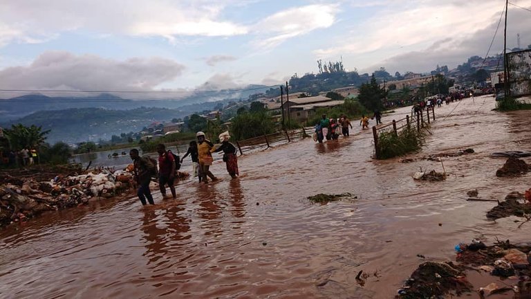 Flood 2.jpg