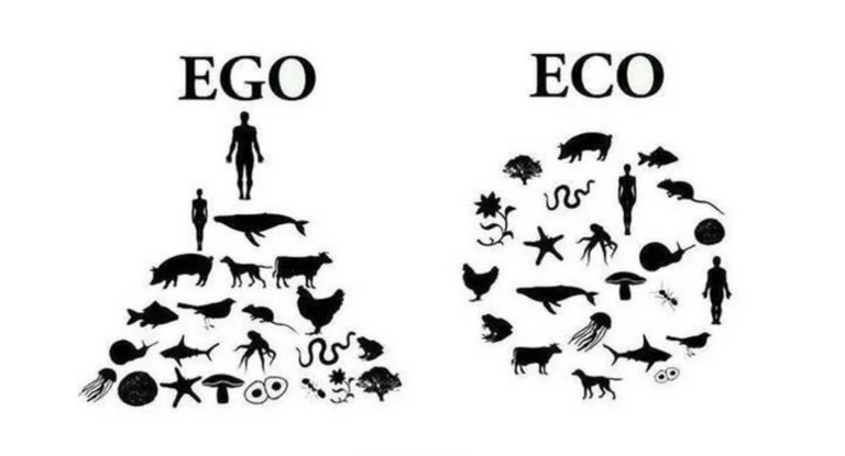 Ego VS Eco.png