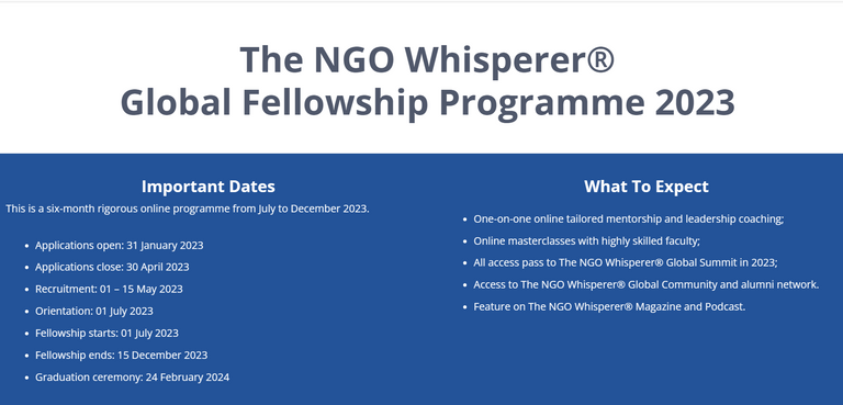 NGO Whisperer Fellowship.png
