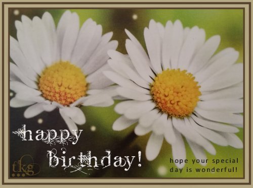 Birthday2017--Daisies-TKG.jpg