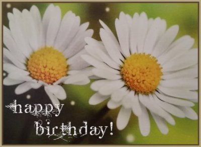 Birthday2017--Daisies.jpg