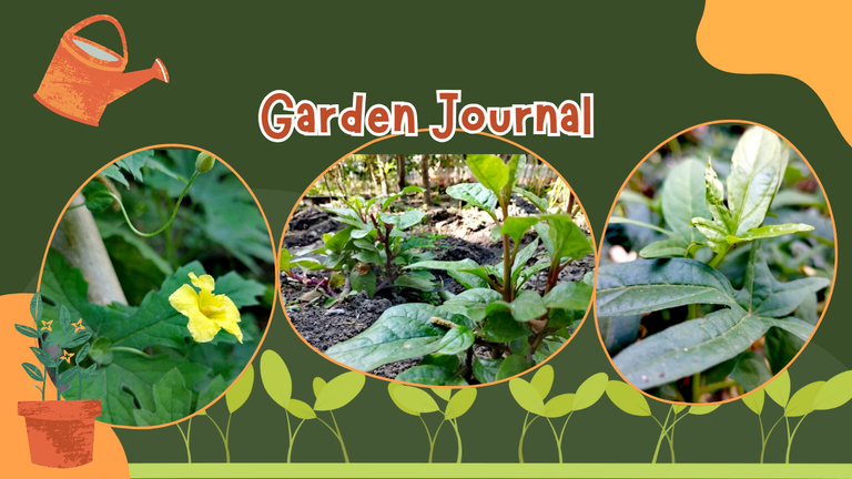 Green and Orange Illustrative Organic Gardening YouTube Thumbnail_20250728_094503_0000.png