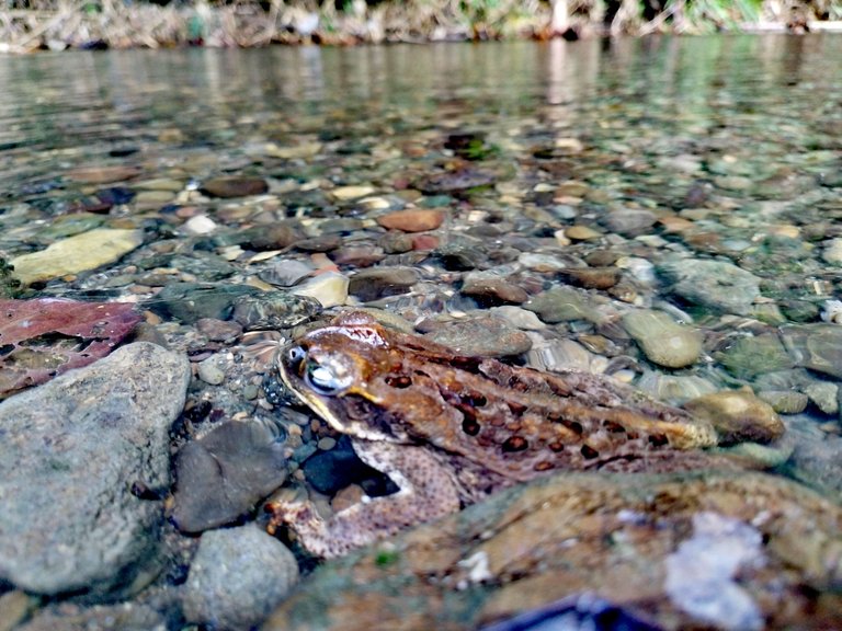 IMG_20250312_091818.jpg