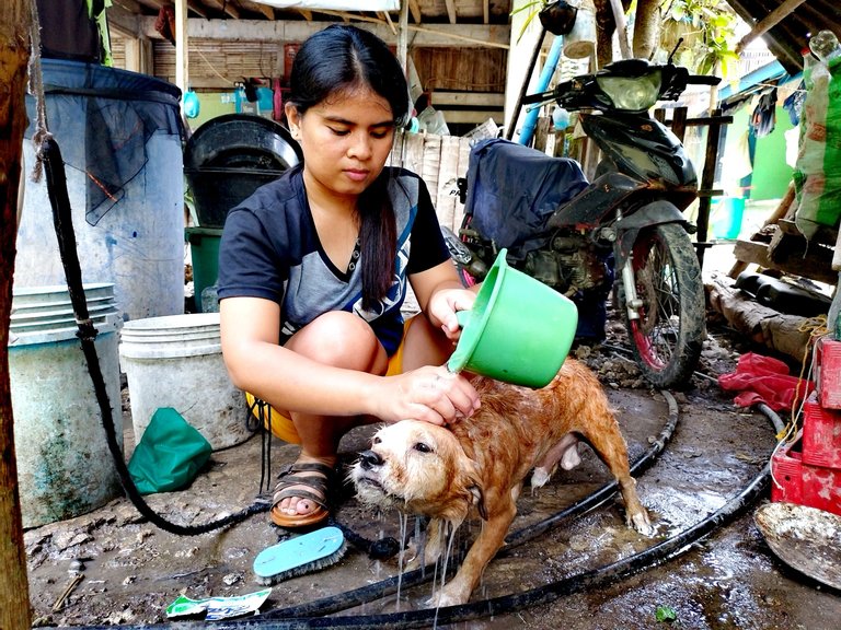 A Day of My Life: " Pet Caring, Beach Adventure and Act of Kindness Activity"