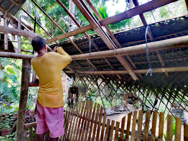 My Daily Life Post: "Rooftop Activity, Visiting Vacant Lot and Mushroom Finding"