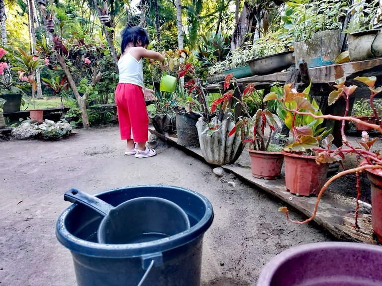 My Daily Life Post: "My Daughter's First Simple Work Activities, Fruit Picking and Bonding Time With Family"