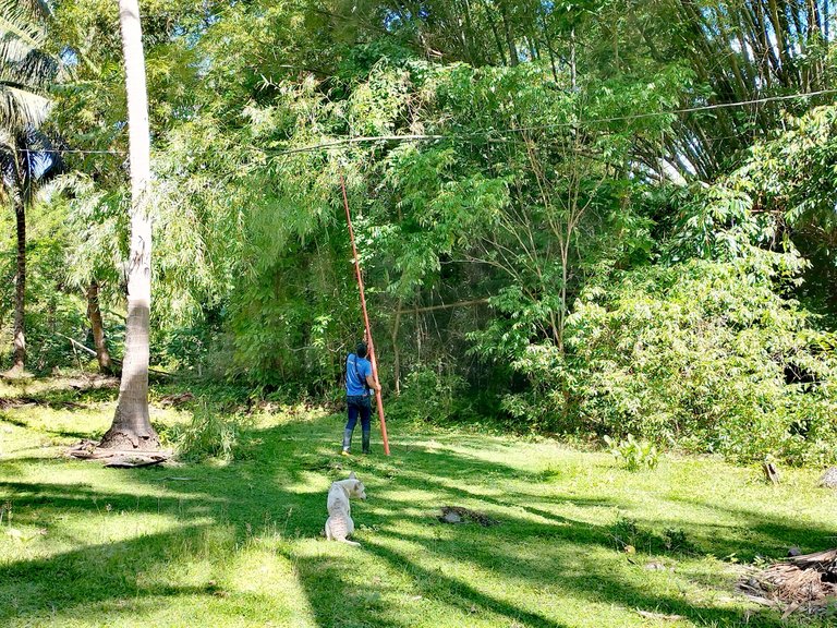 IMG_20250627_053006.jpg