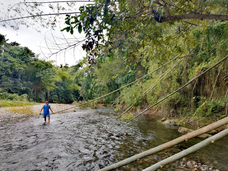 My Daily Post: "Cutting Bamboos for Fence Purposes, Garden Checking and First Fruit Harvesting"