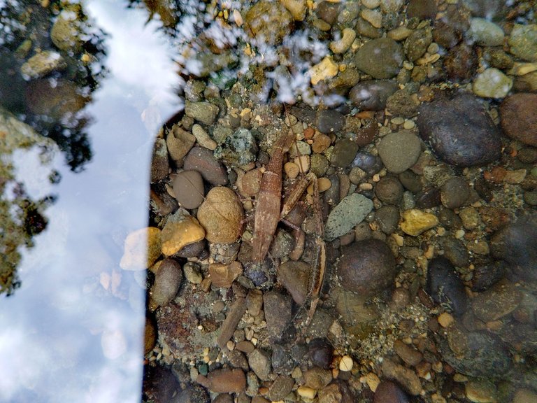 IMG_20250319_095918.jpg