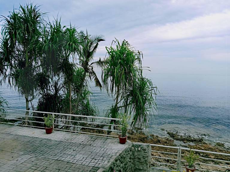 IMG_20250702_055201.png