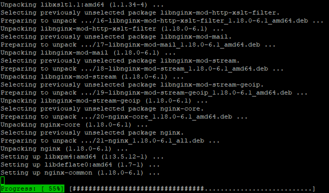 install_nginx.png