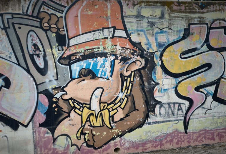 grafitti_monkey.jpg