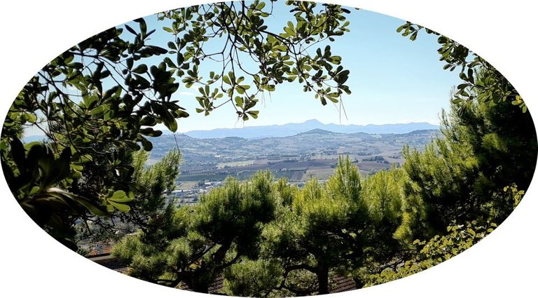 oval_landscape.jpg