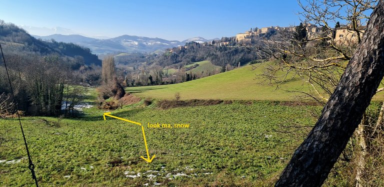 urbino5.jpg