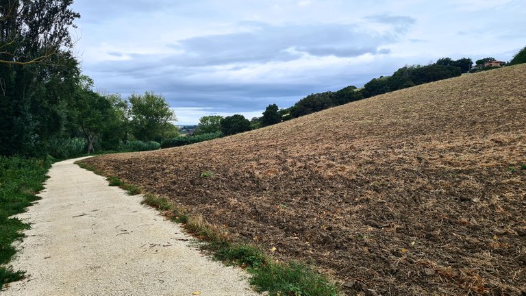 walkslope.jpg