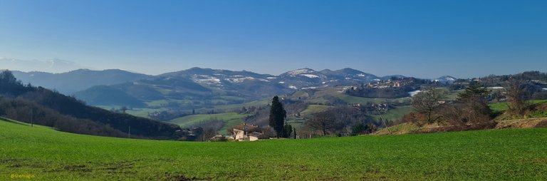urbino6.jpg