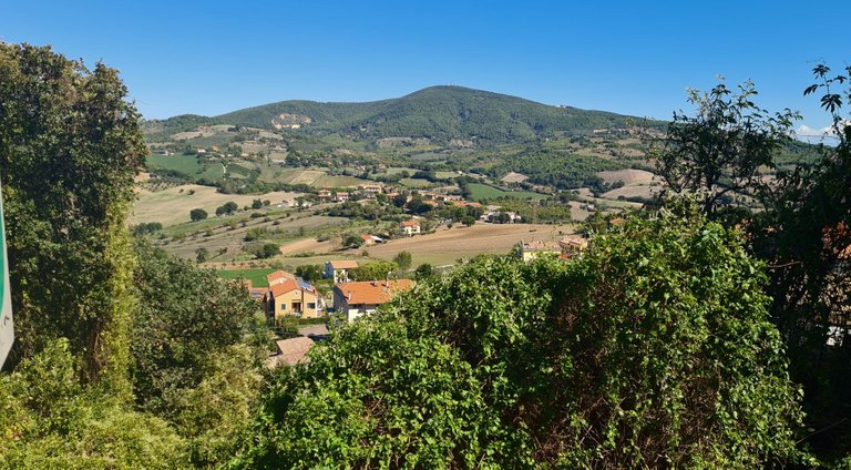 picnic_view.jpg