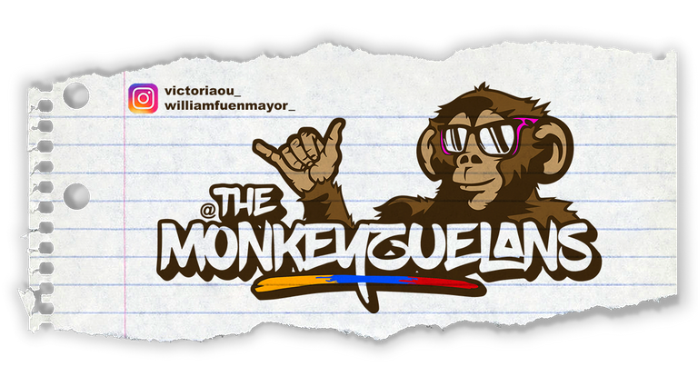 themonkeyzuelans firma.png