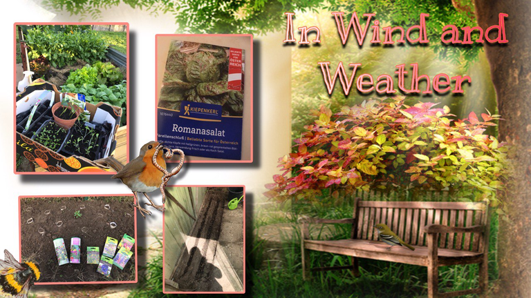 Garden journal- In wind and weather/ Gartenjournal– Bei Wind und Wetter