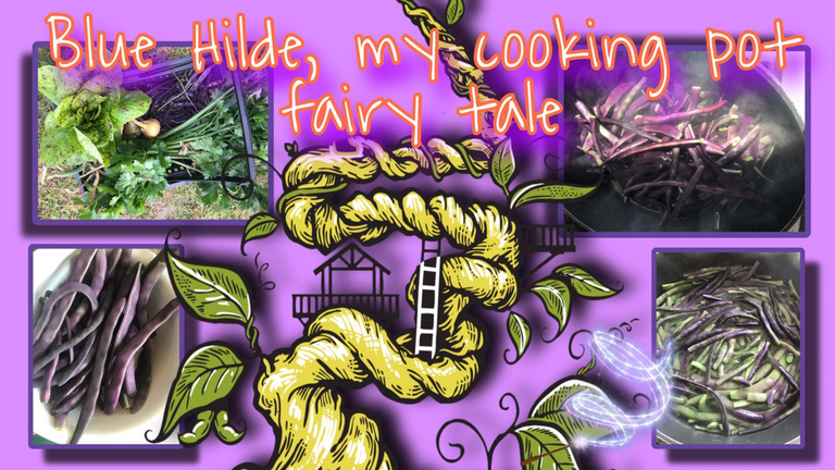 The kitchen story of the magic bean/ Die Küchengeschichte von der Zauberbohne