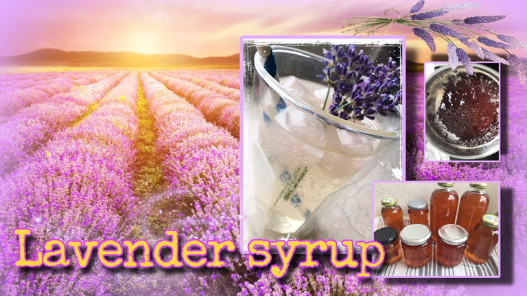 Lavender syrup - a fragrant summer love/ Lavendelsirup – eine duftende Sommerliebe