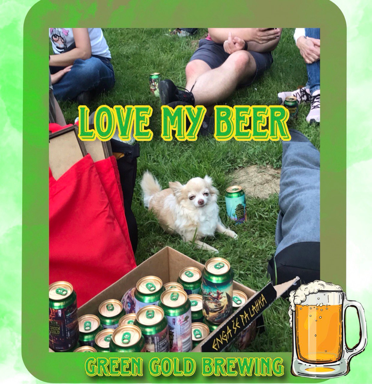 Graz Beer Saturday with Green Gold Brewing - a strong beer and an enthusiastic Chihuahua