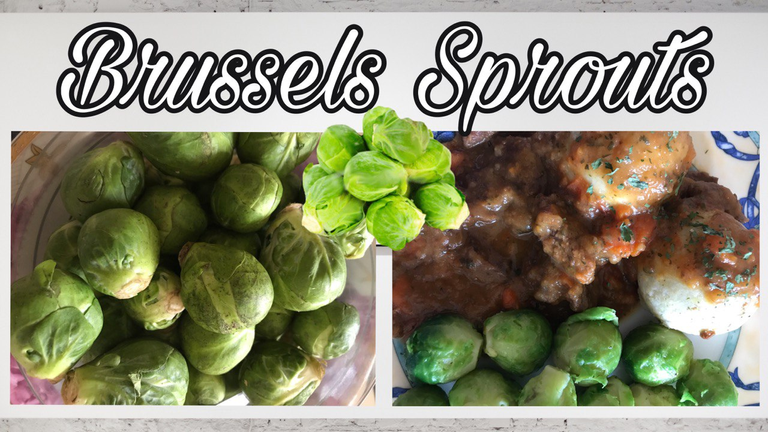 Ich liebe Rosenkohl/ I love Brussels sprouts. 