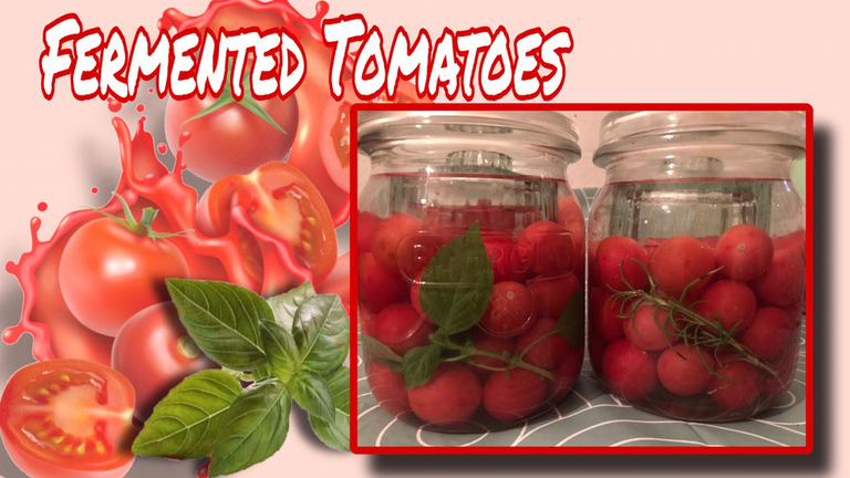 Fermented tomatoes – the snack that saves every party/ Fermentierte Tomaten – der Snack, der jede Party rettet