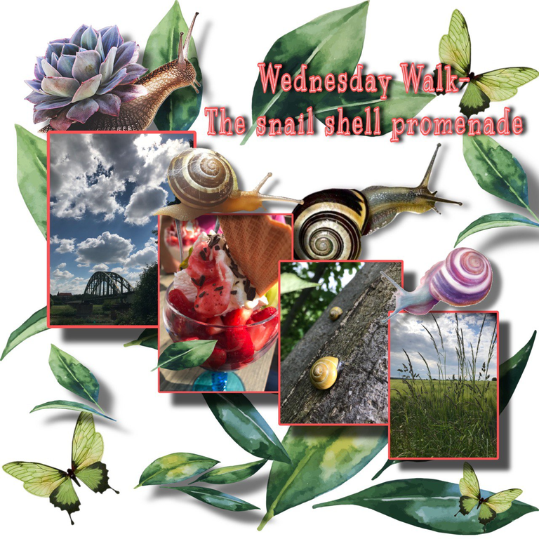Wednesday Walk - The snail shell promenade/  Die Schneckenhauspromenade