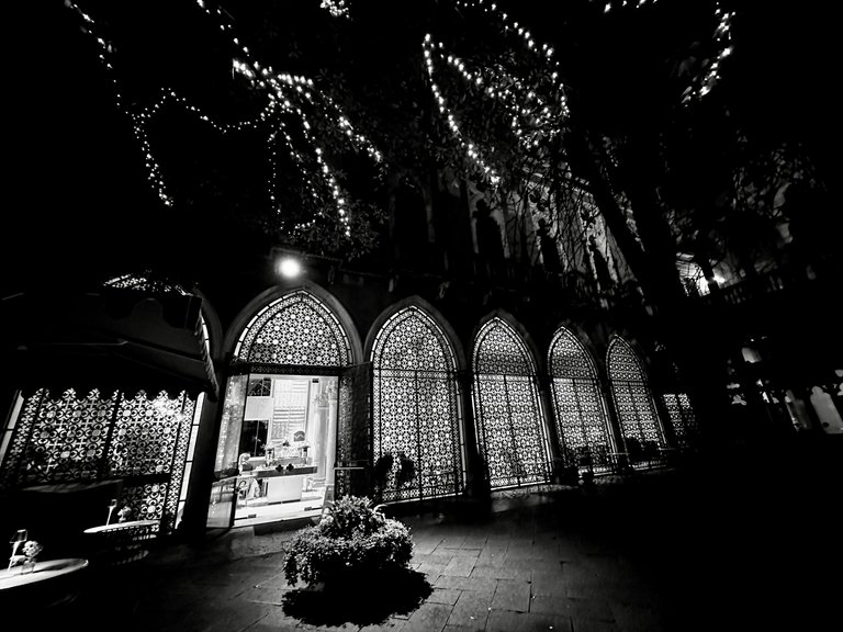 IMG_8296 (1).jpg