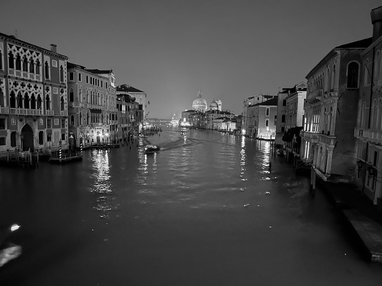 IMG_7765.jpg