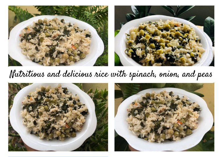 Delicious Swiss chard croquettes (3).png