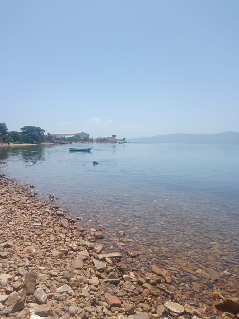 IMG_0167.jpeg