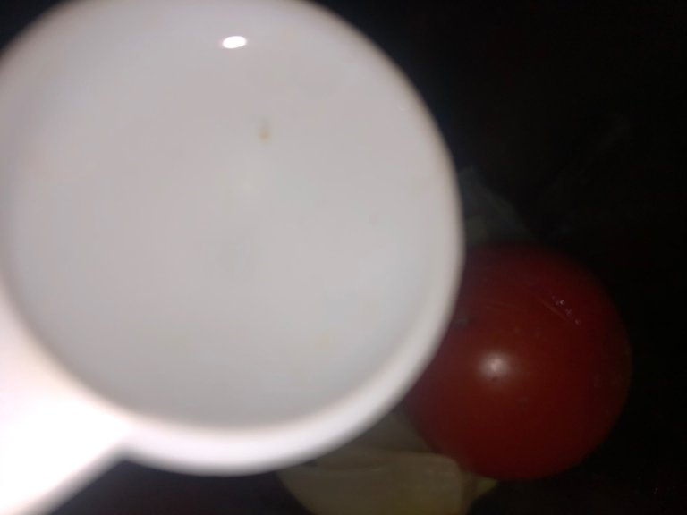 IMG_2917.jpeg