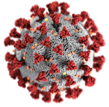 coronavirus3992933 1 copy.png