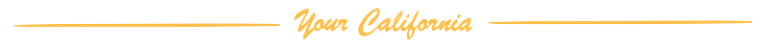 your ca transparent.png