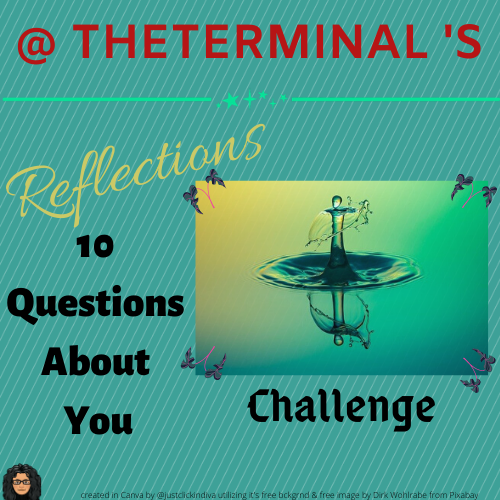 TerminalReflections10QuestionsAboutYouChallenge.png