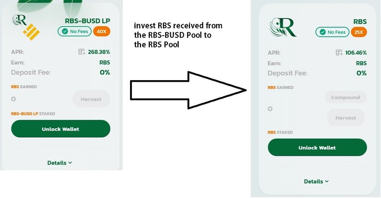 rbs-busd2  rbs.jpg