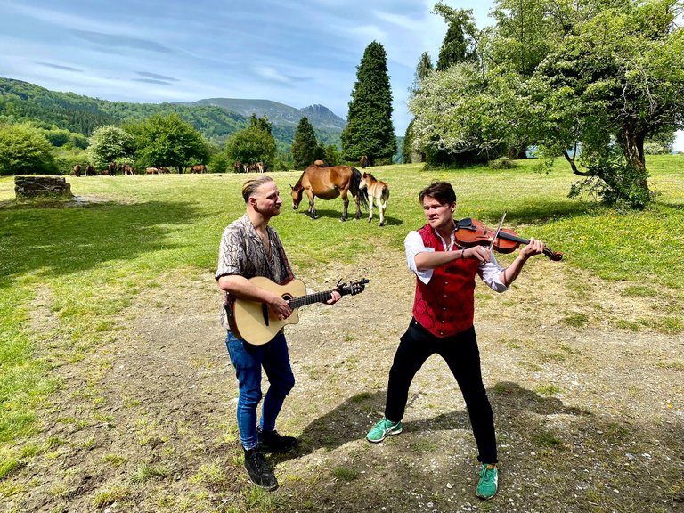 Serenading the ponies.jpg