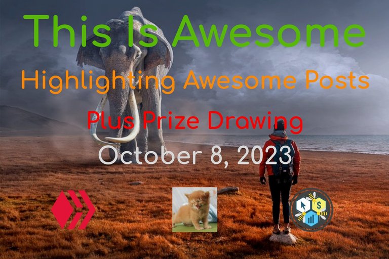 ThisIsAwesome_1-1.jpg