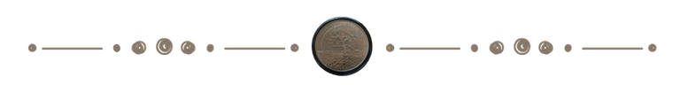 Pilinszky Janos Silver Coin Text Divider.png