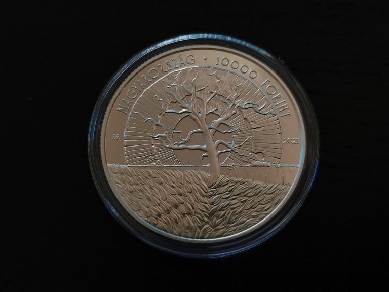 Jan 2022 - First Silver Coin - Pilinszky Janos (16).jpg