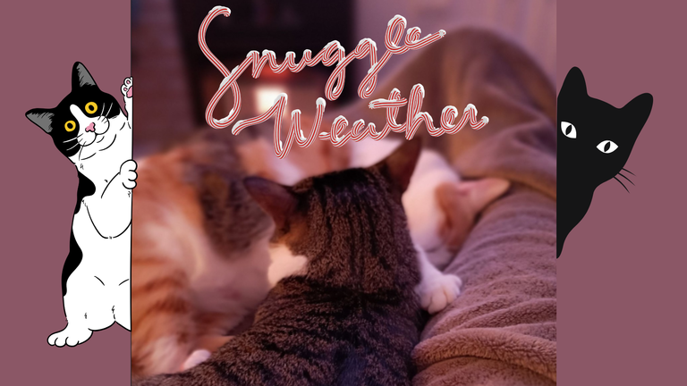 snuggle weather.png