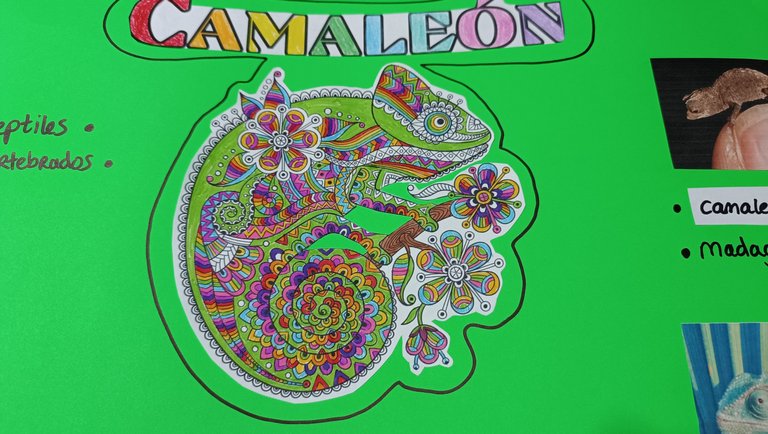 Chameleon presentation (3).jpg