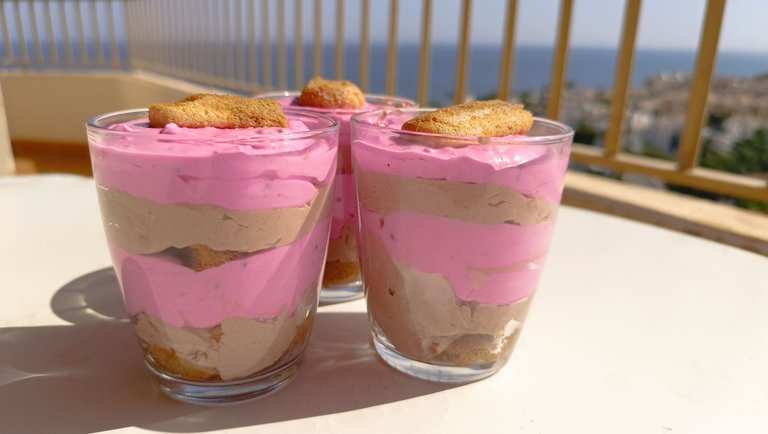 Pitaya and chocolate tiramisu dessert.jpg